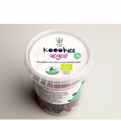 Organic dried black currant berries "Koookios" 70 g (LT_EKO_001) 1